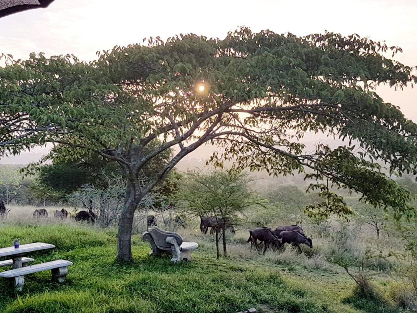 Farm for sale in Ashburton P24112968700