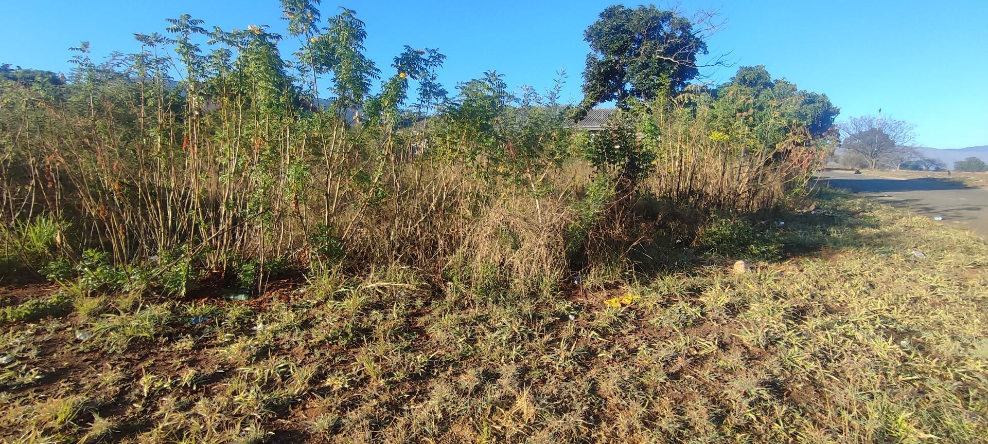 Vacant land / plots for sale in Barberton Barberton Property