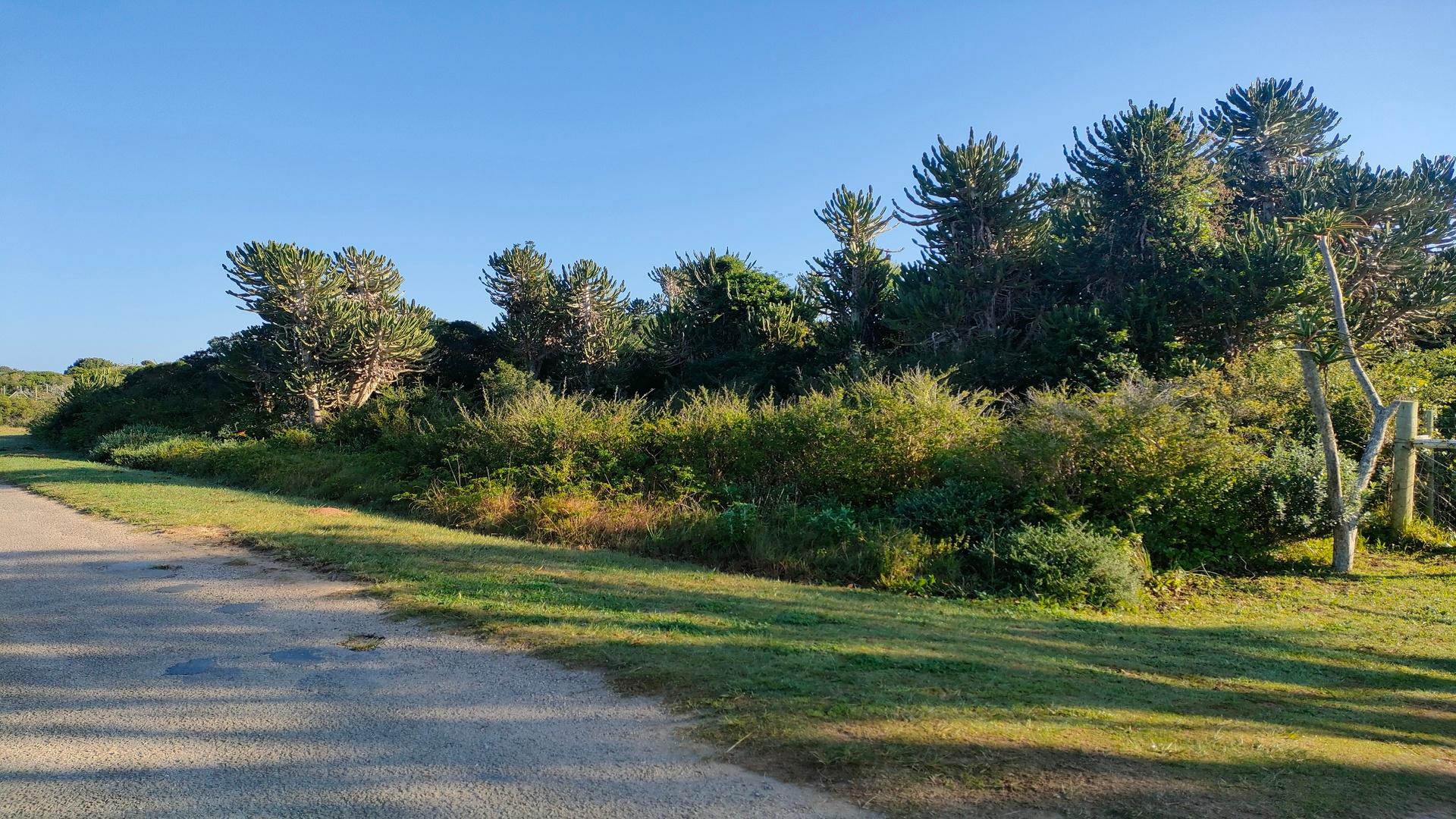 Bushmans River Mouth Property Houses for sale in Bushmans River Mouth Page 3