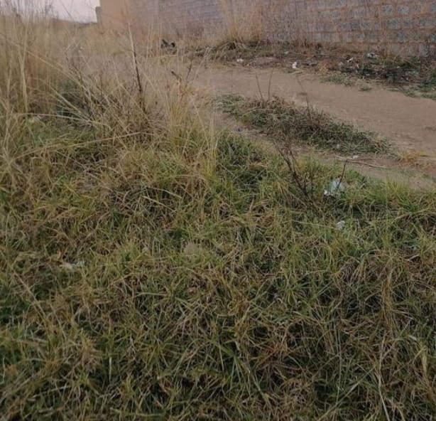 East Rand Property Vacant land / plot for sale in East Rand