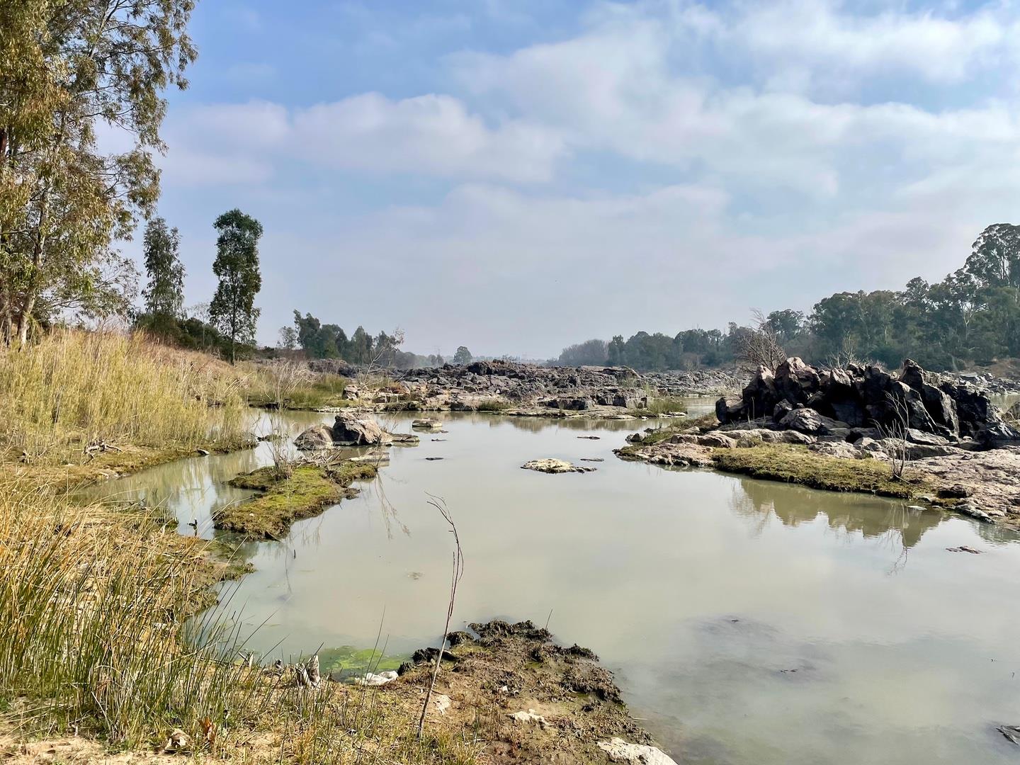 Vaal River Property Farm for sale in Vaal River