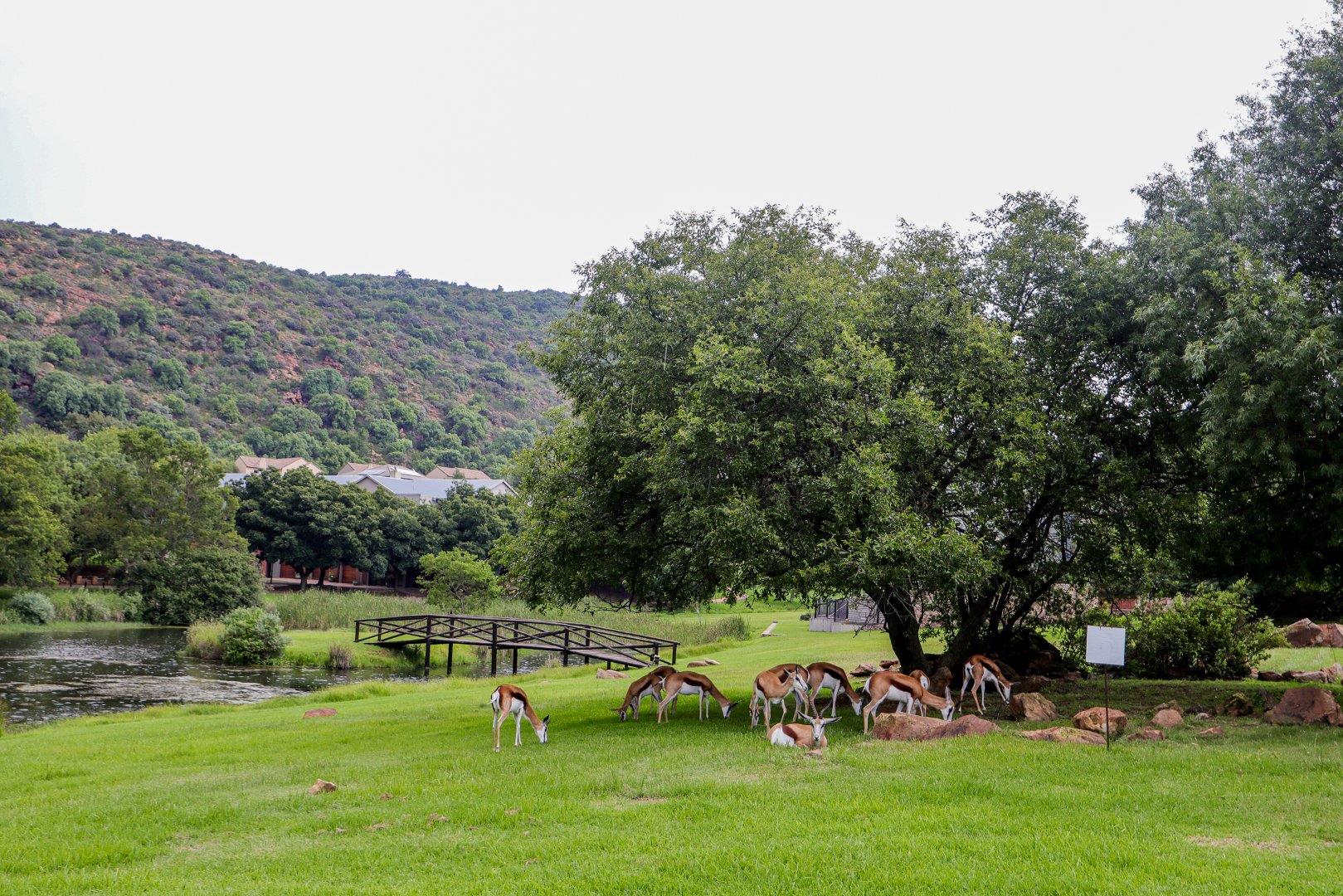 Heidelberg Kloof Estate Property Property and houses for sale in
