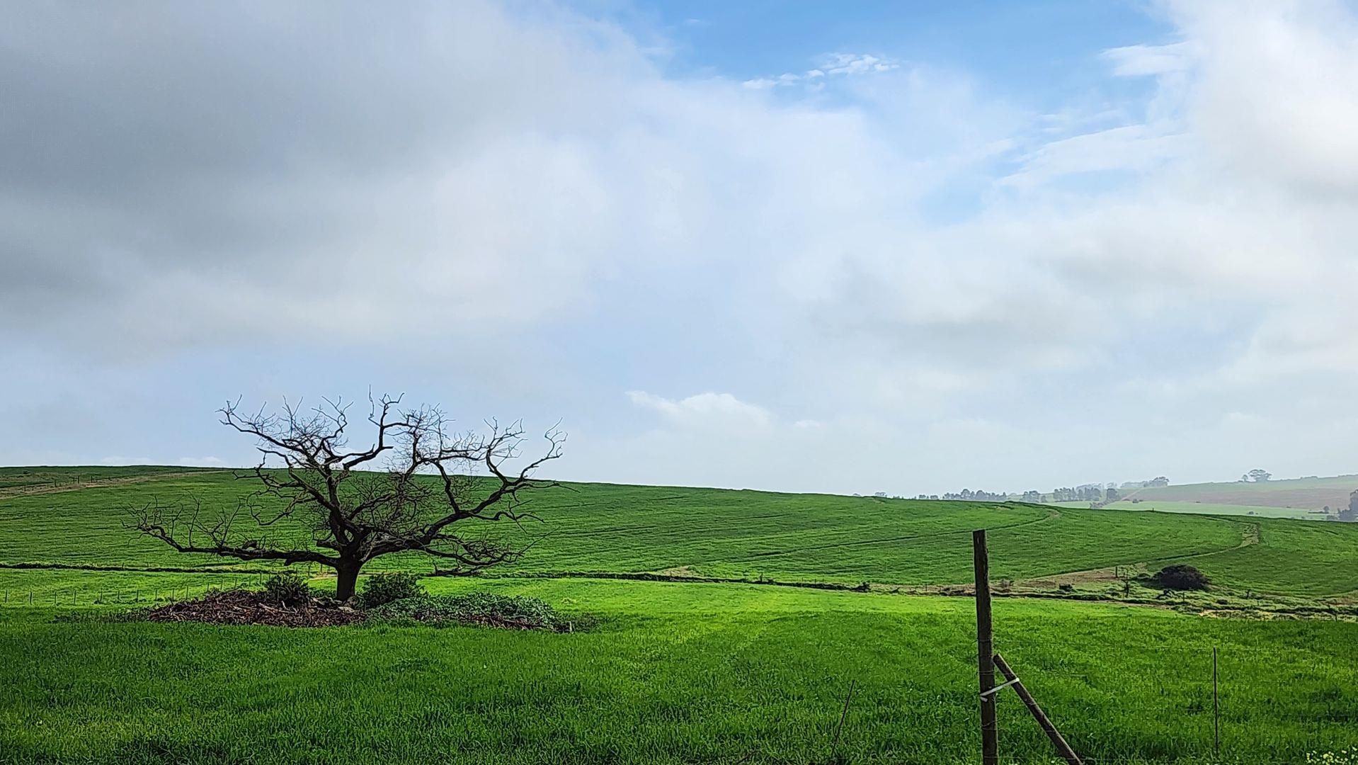 Property for sale in Western Cape Farms for sale in Western Cape