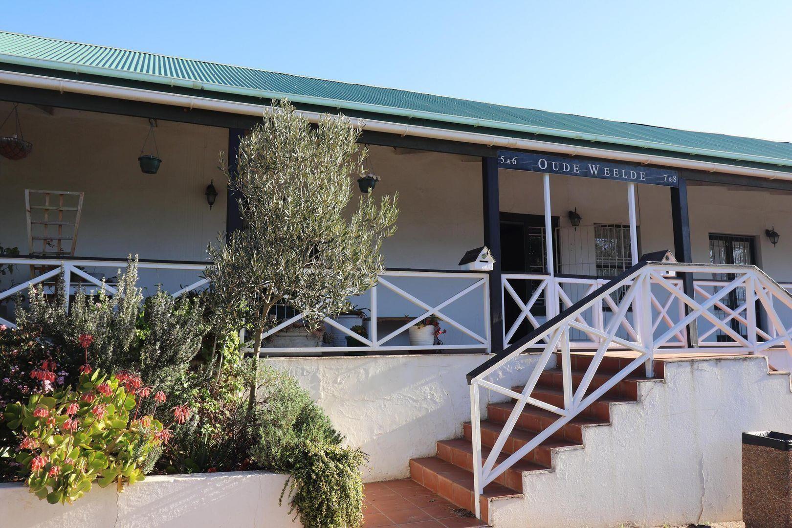 Apartments / flats for sale in Napier Napier Property