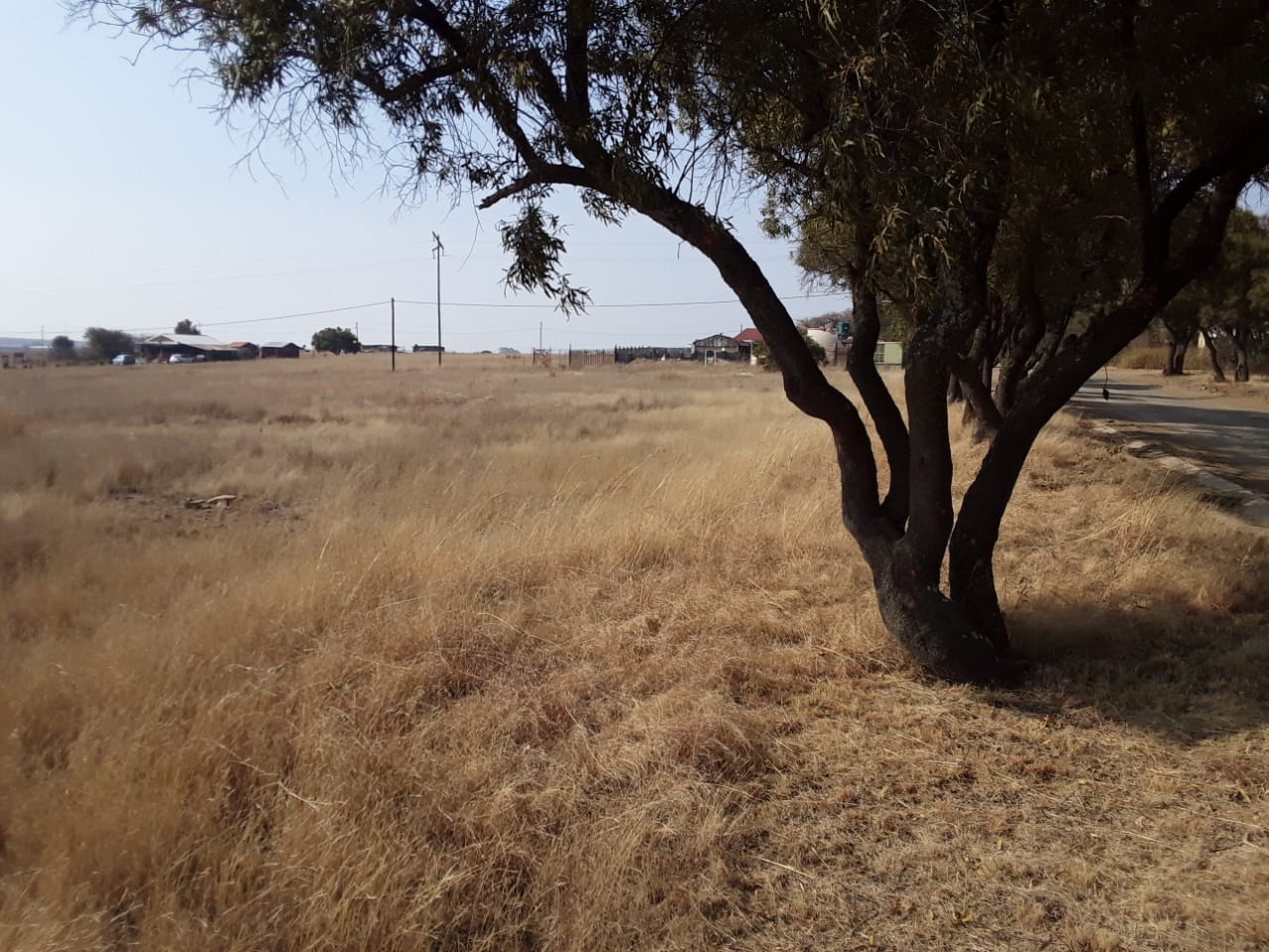 Vacant land / plot for sale in Oranjeville P24113011901