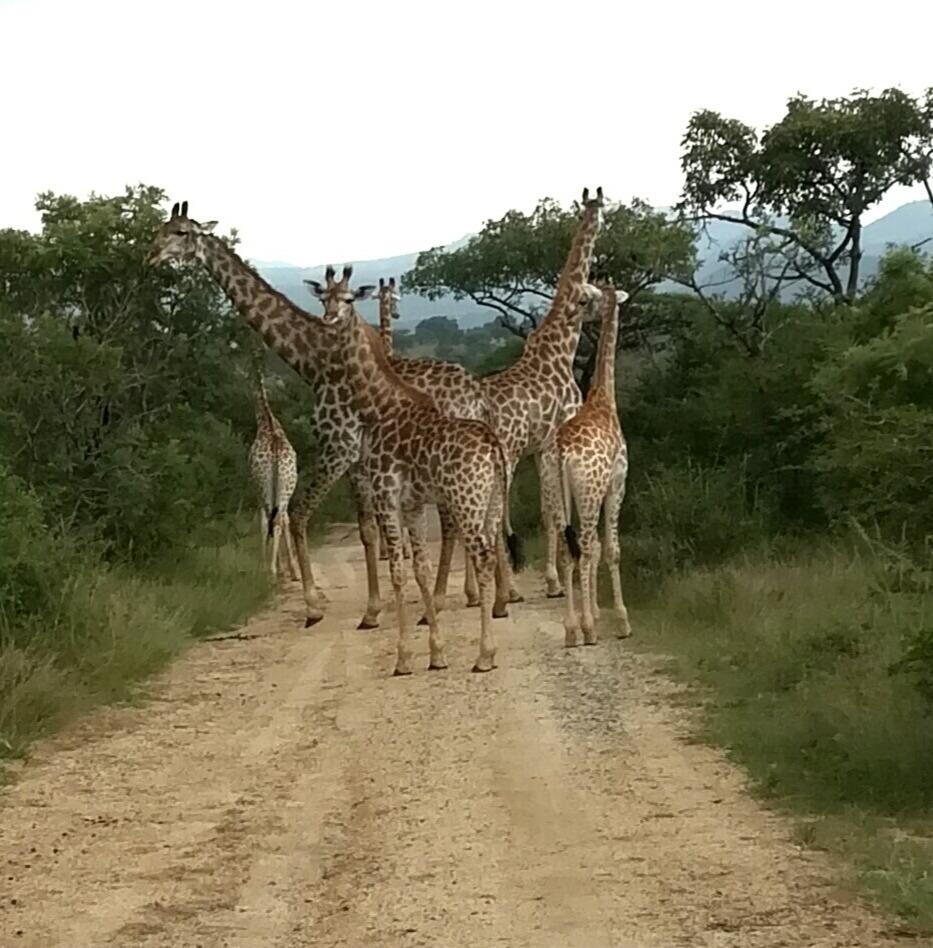 Farm for sale in Barberton P24113013622