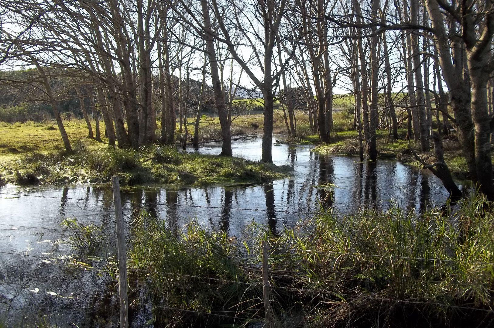 Overberg Property Farm for sale in Overberg Page 3