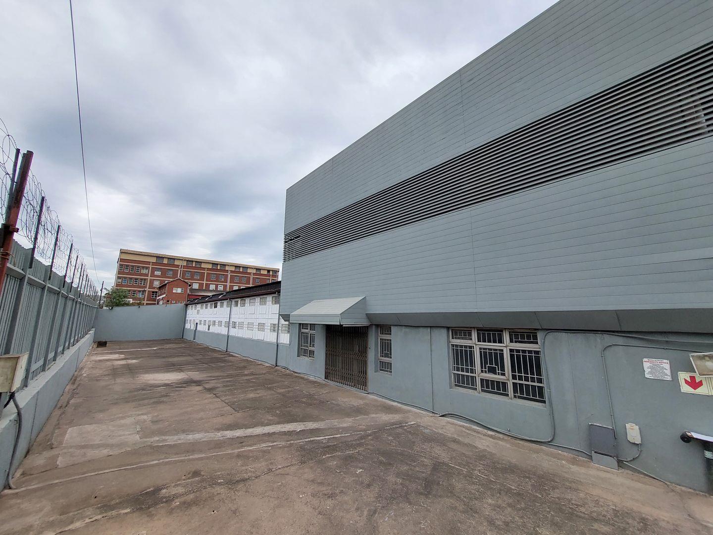 Springfield, Durban Property Property and houses to rent in