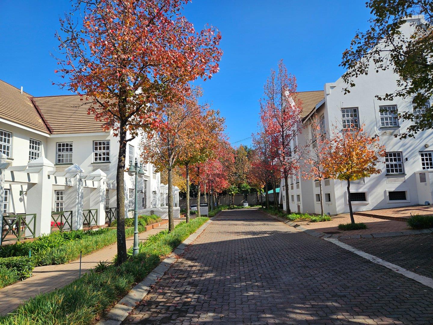 Rosebank, Johannesburg Property Property and houses to rent in