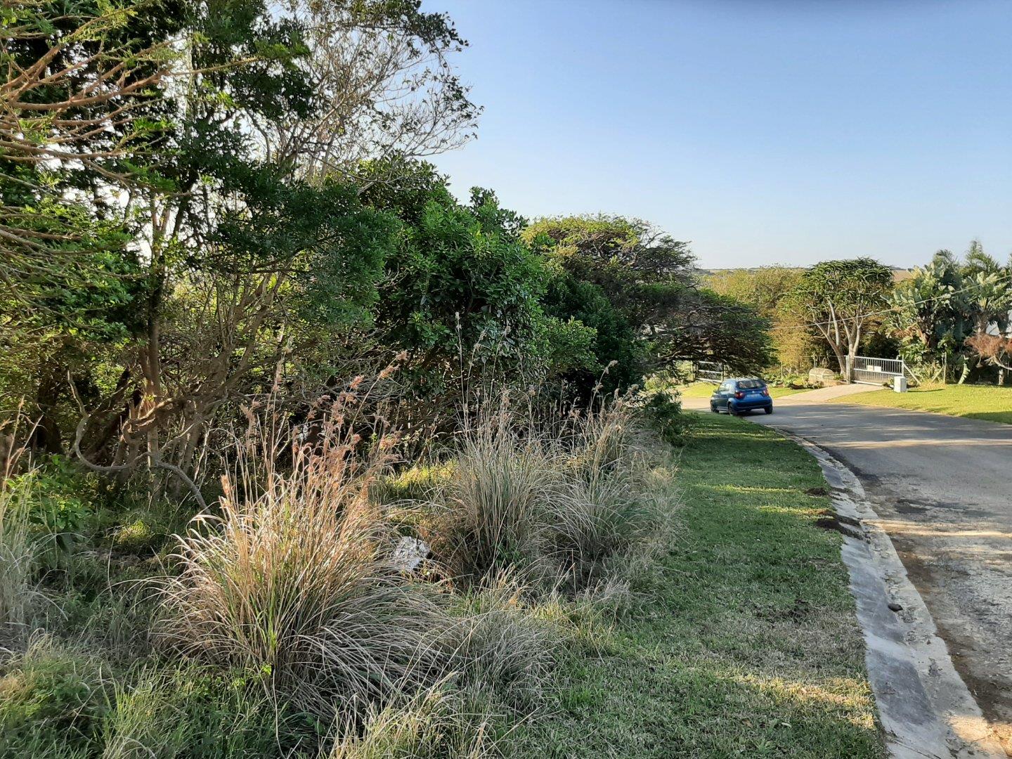 Vacant land / plot for sale in Bay 184 Tanglewood Road P24