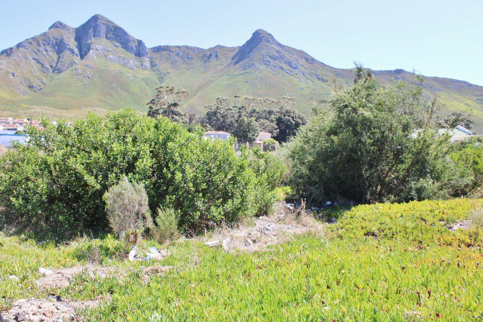 Vacant land / plot for sale in Kleinmond Central 114 9th P24109824095