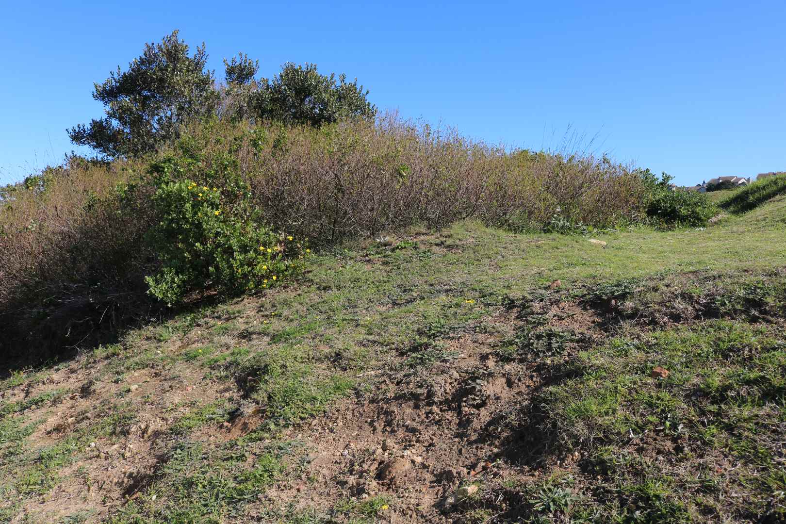 Vacant land / plot for sale in Mossel Bay Golf Estate 232 Argyle