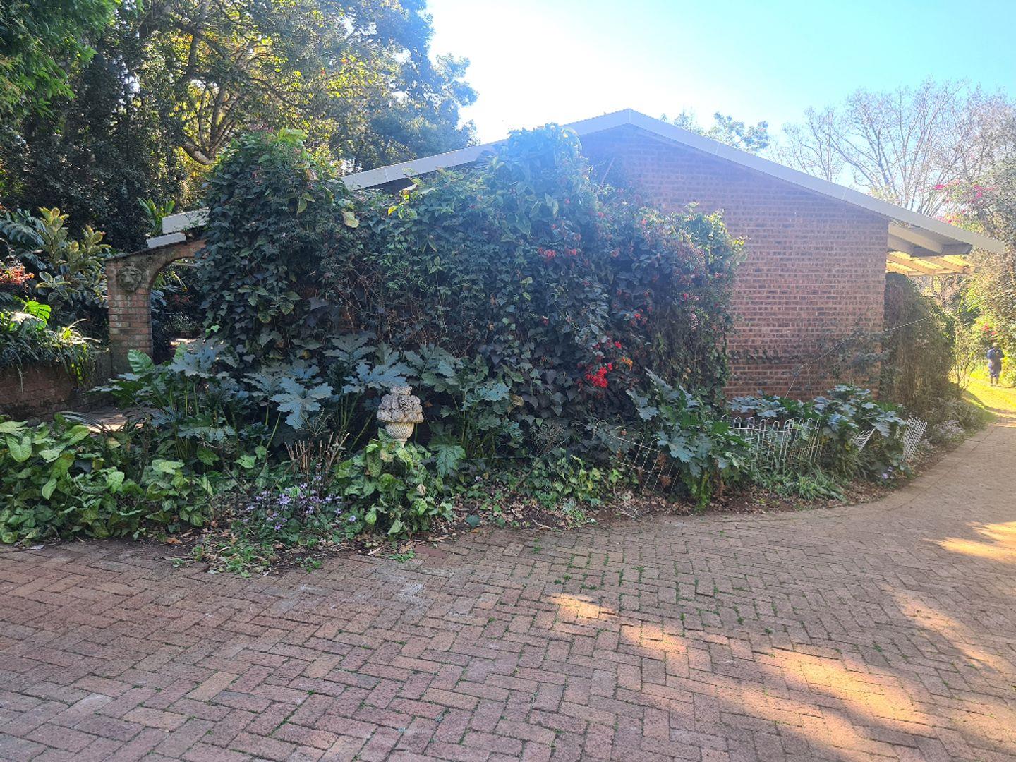 Property and houses to rent in Pietermaritzburg Pietermaritzburg