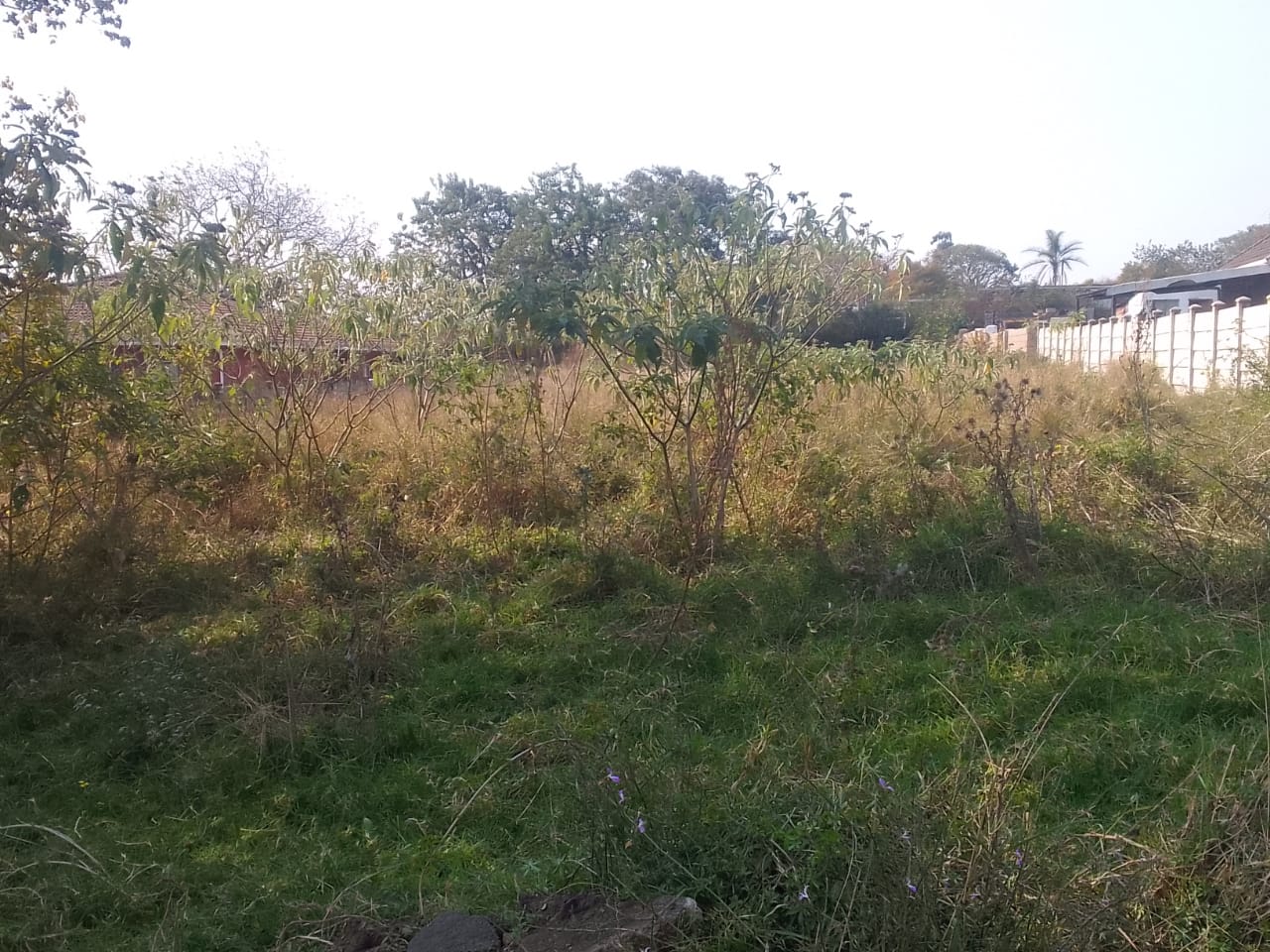 Vacant land / plots for sale in Pietermaritzburg Pietermaritzburg