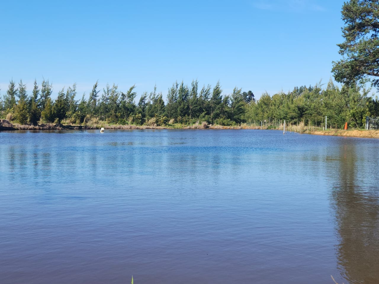 Rural Property Property and houses for sale in Rural