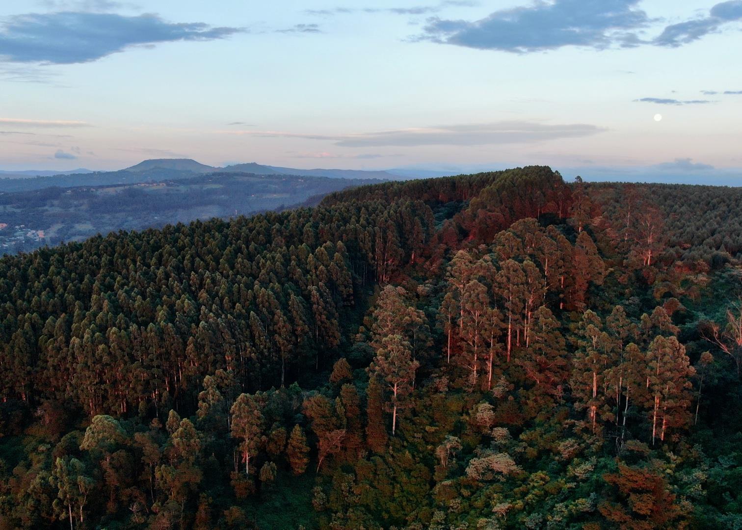 Vacant land / plot for sale in Mount Verde 28 Ridge Boulevard P24