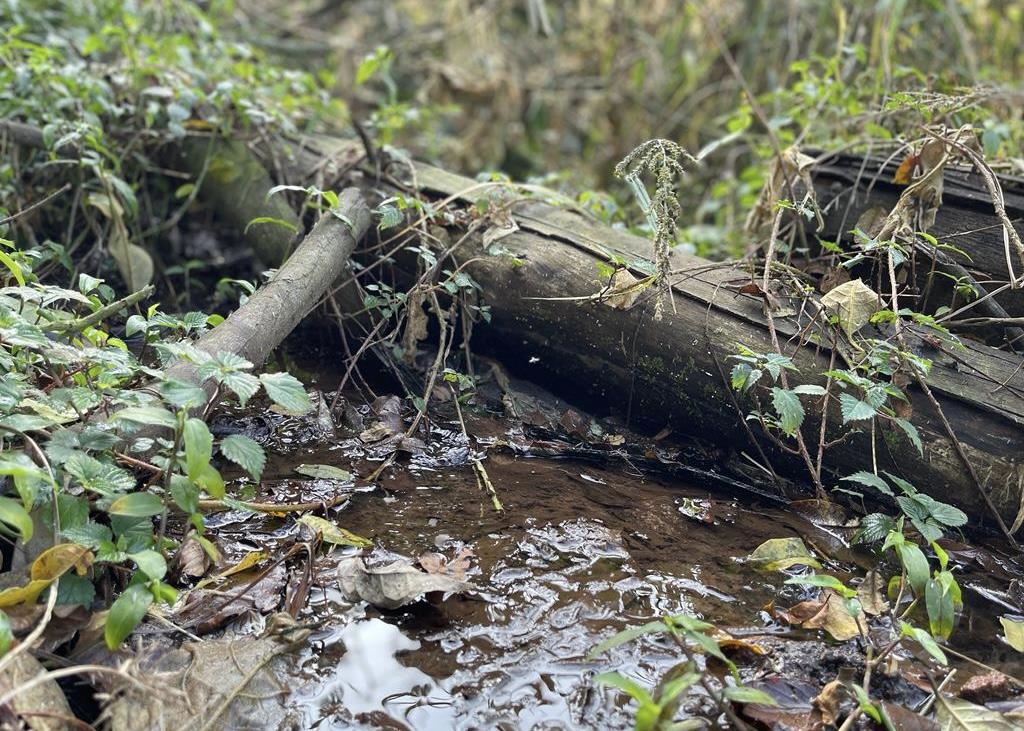 Mount Verde Property Property and houses for sale in Mount Verde