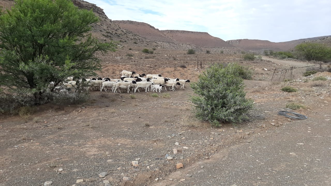 Farm for sale in Fraserburg P24113061715