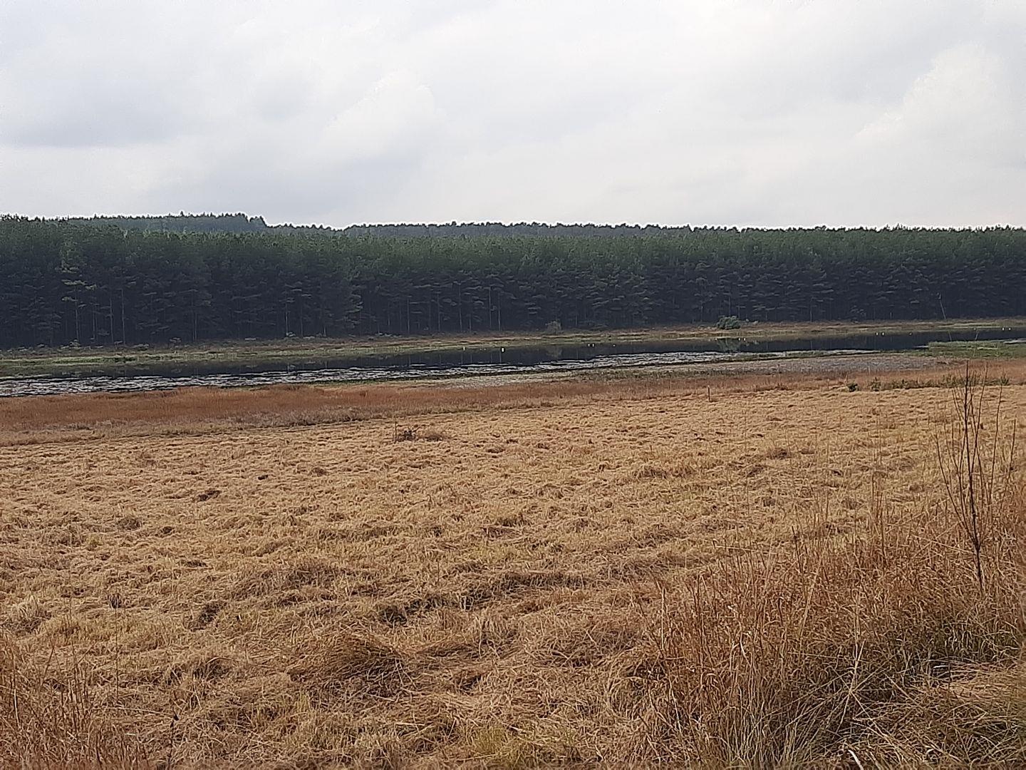 Vacant land / plots for sale in Pietermaritzburg Pietermaritzburg