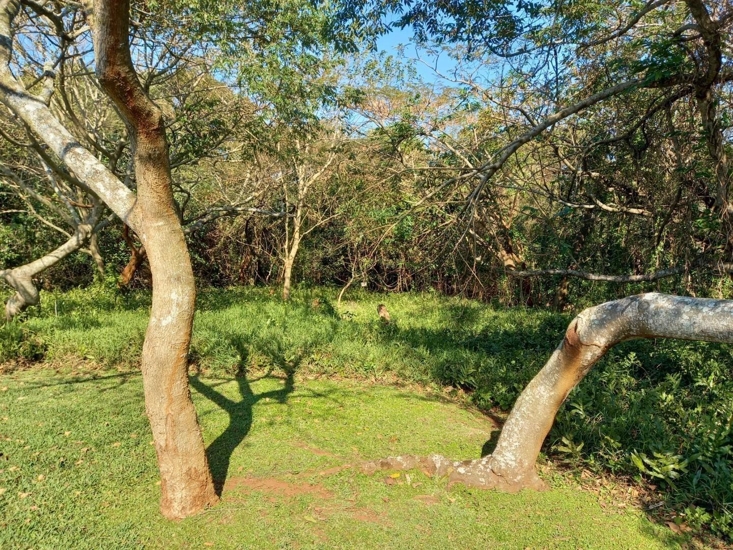 Prince's Grant Golf Estate Property Property and houses for sale in