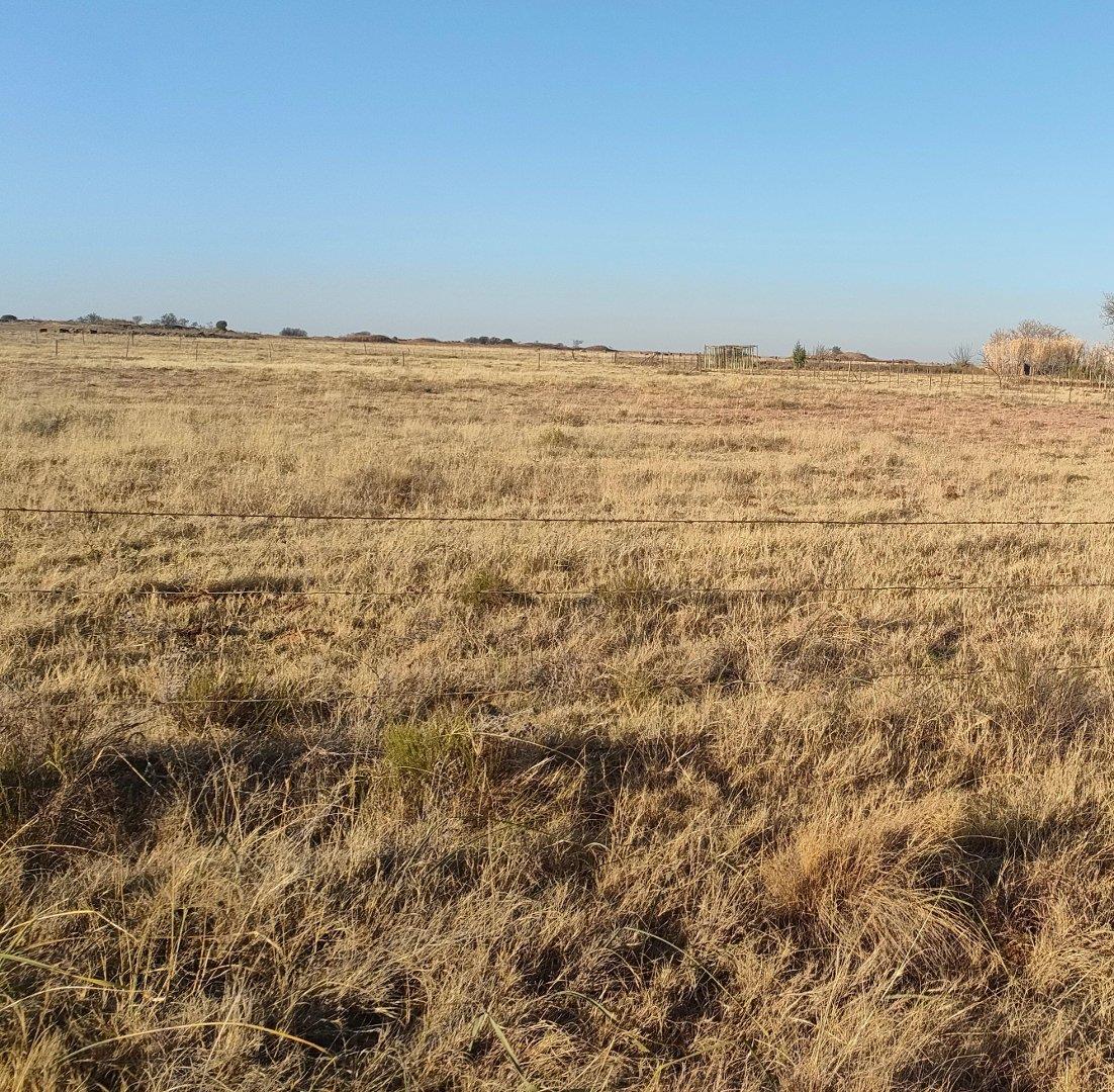 Roodewal, Bloemfontein Property Vacant land / plots for sale in