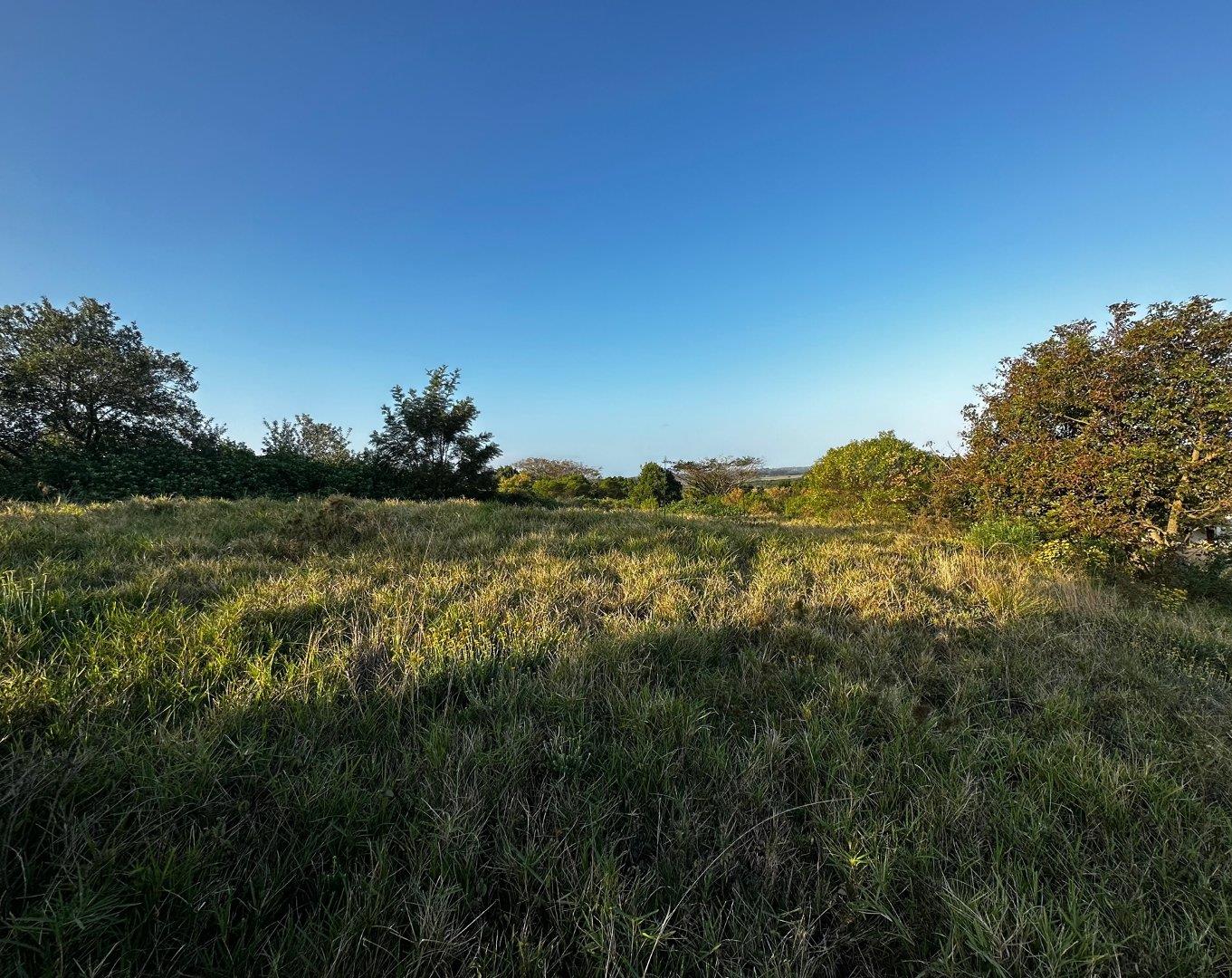 Vacant land / plot for sale in Zini River Estate P24113072314