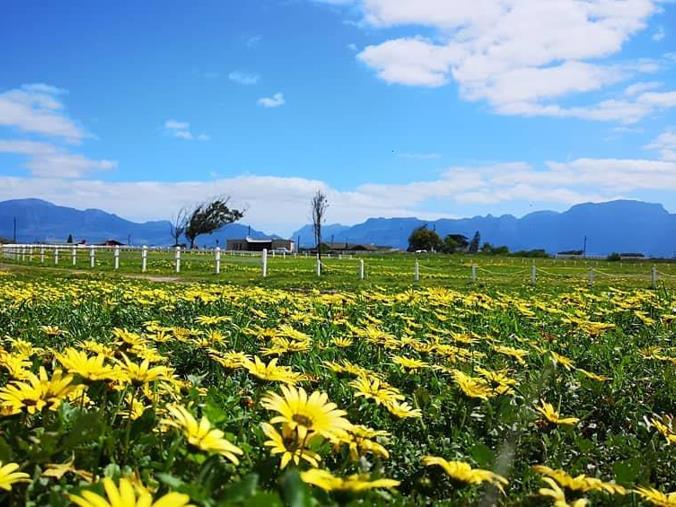 Farm for Sale in Schaapkraal