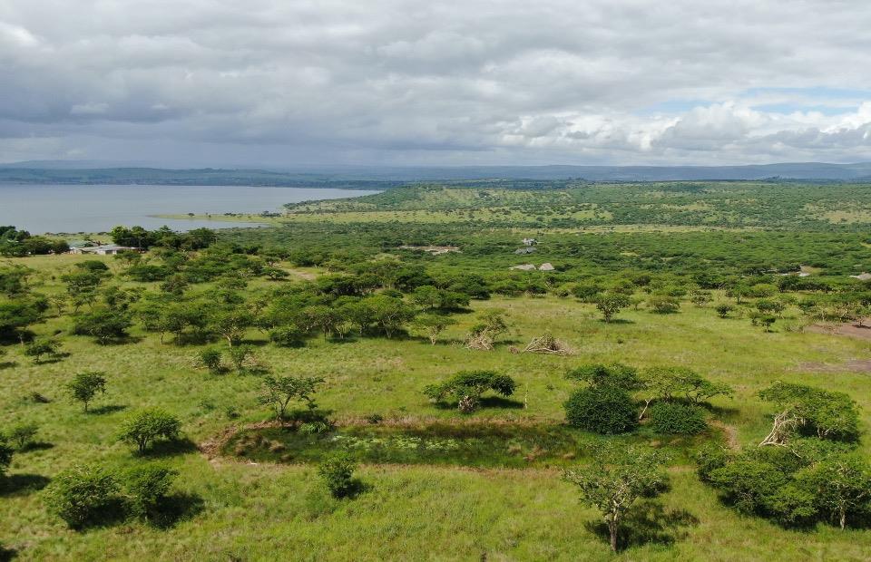 Albert Falls Property Property and houses for sale in Albert Falls