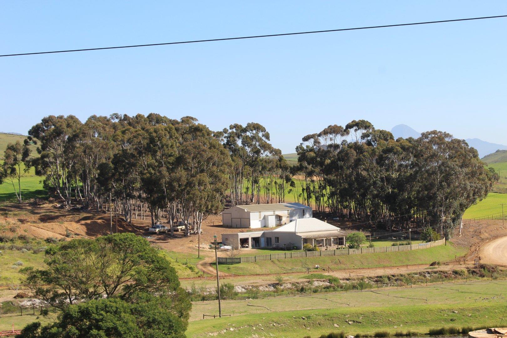 Property and houses for sale in Caledon Caledon Property Property24