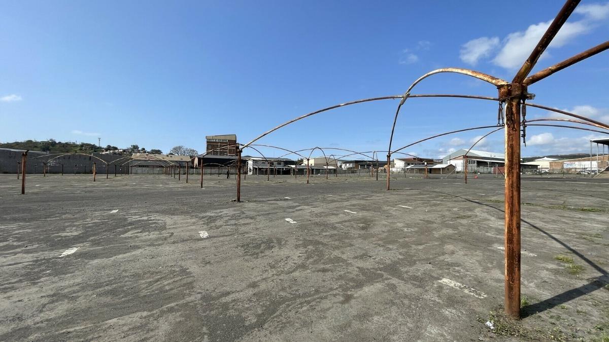 Springfield, Durban Property Property and houses to rent in