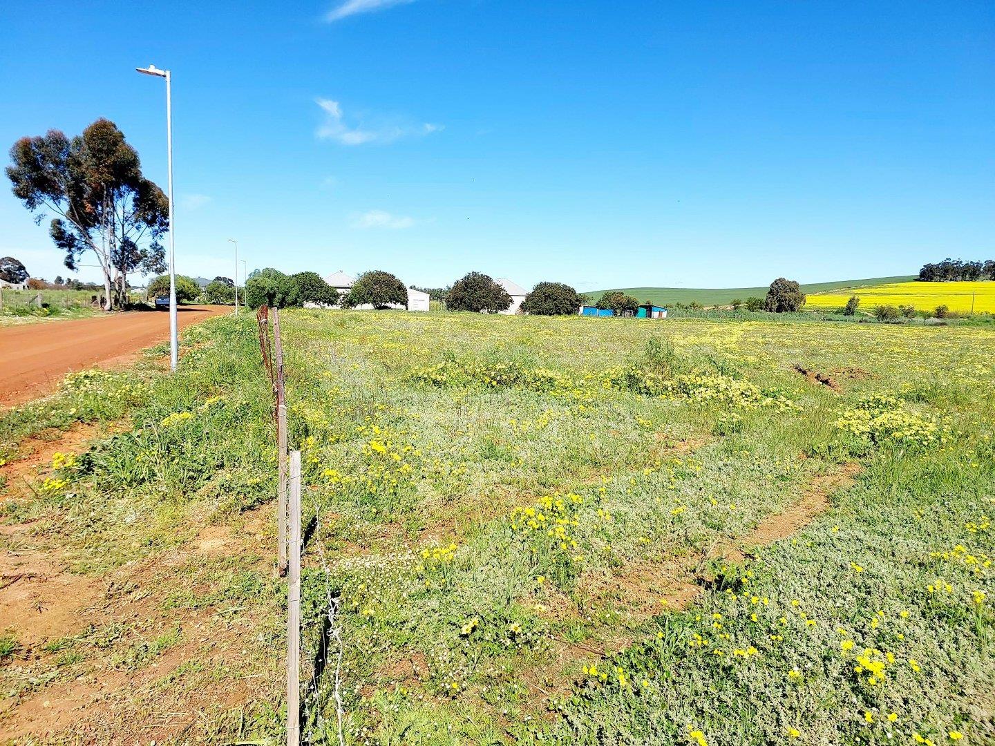 Vacant land / plot for sale in Moorreesburg Rural P24111808695