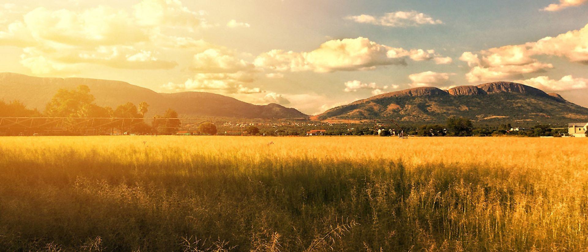 House for sale in The Coves P24113122918