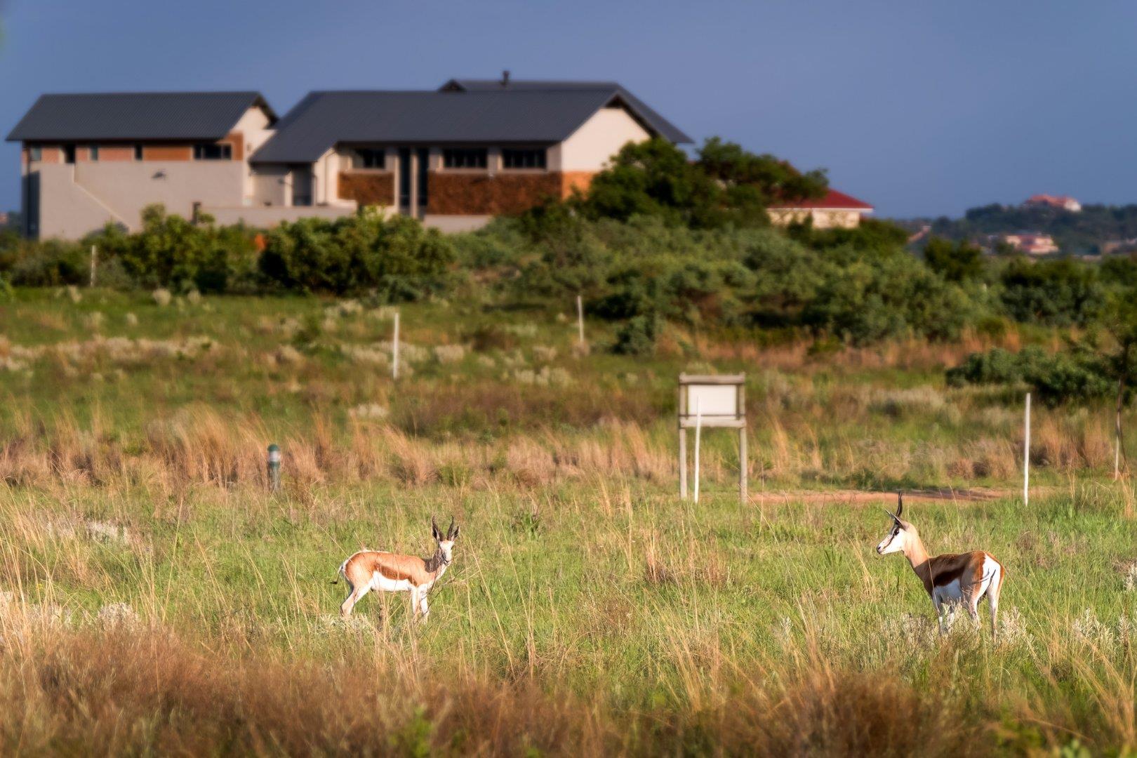 Vacant land / plots for sale in Pretoria Pretoria Property