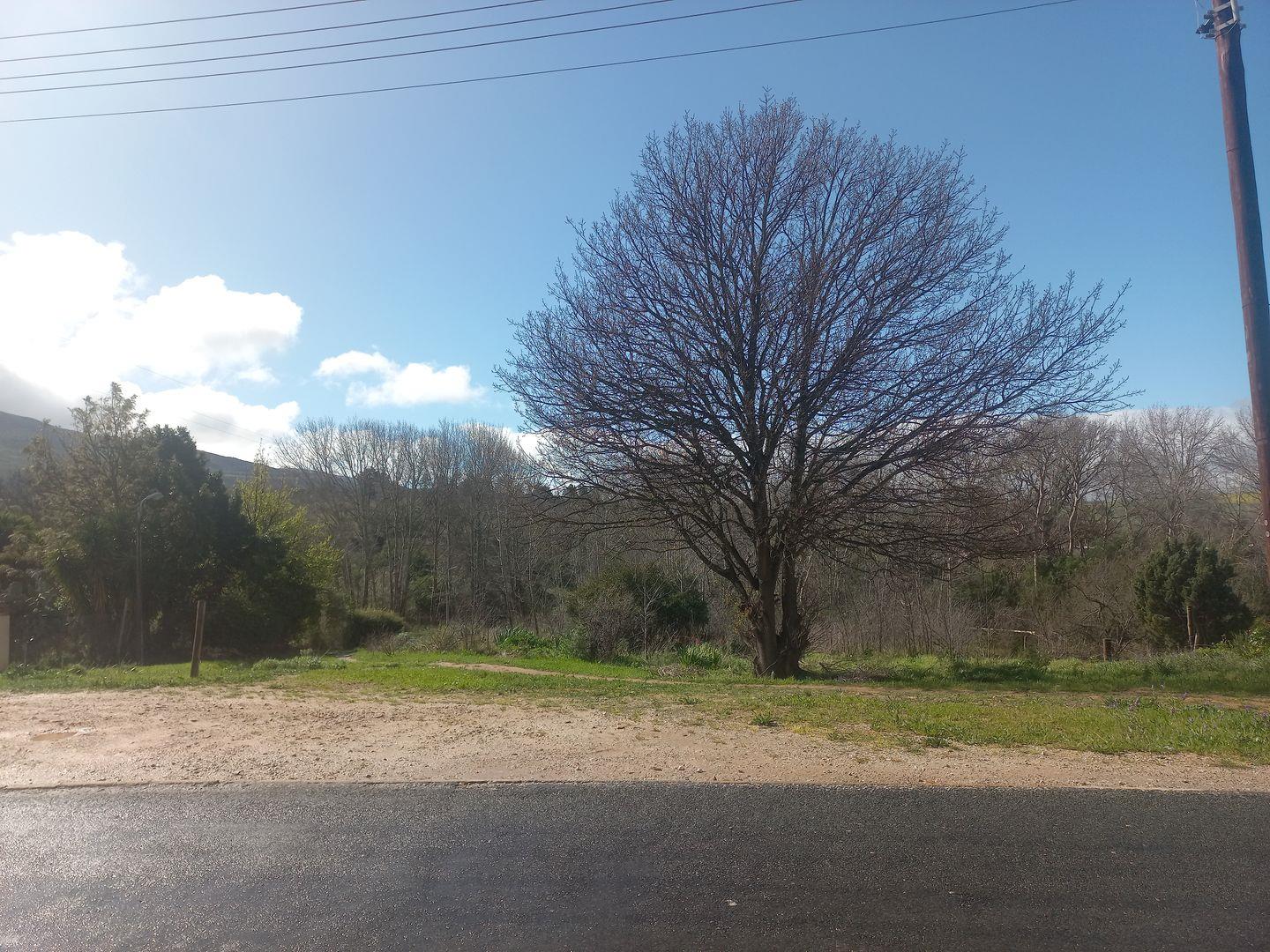 Property and houses for sale in Caledon Caledon Property Property24