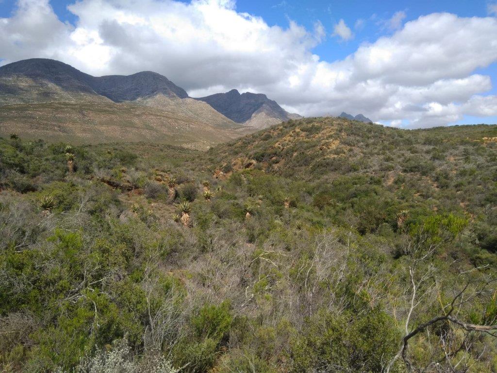 Farms for sale in Riversdale Riversdale Property