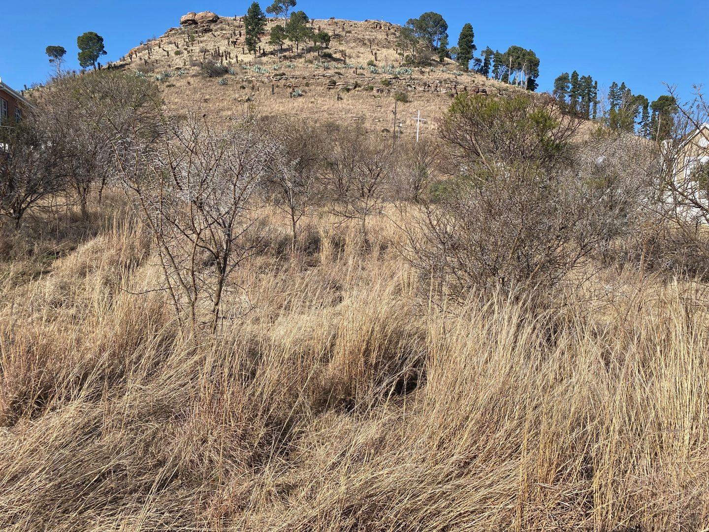 Vacant land / plots for sale in Queenstown Queenstown Property