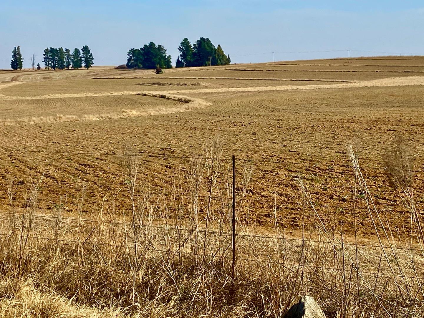 Farm for sale in Bethlehem Rural P24113210740