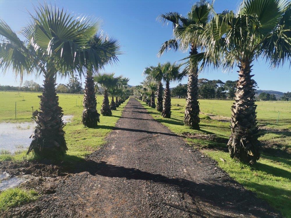 Farms for sale in Atlantis Atlantis Property