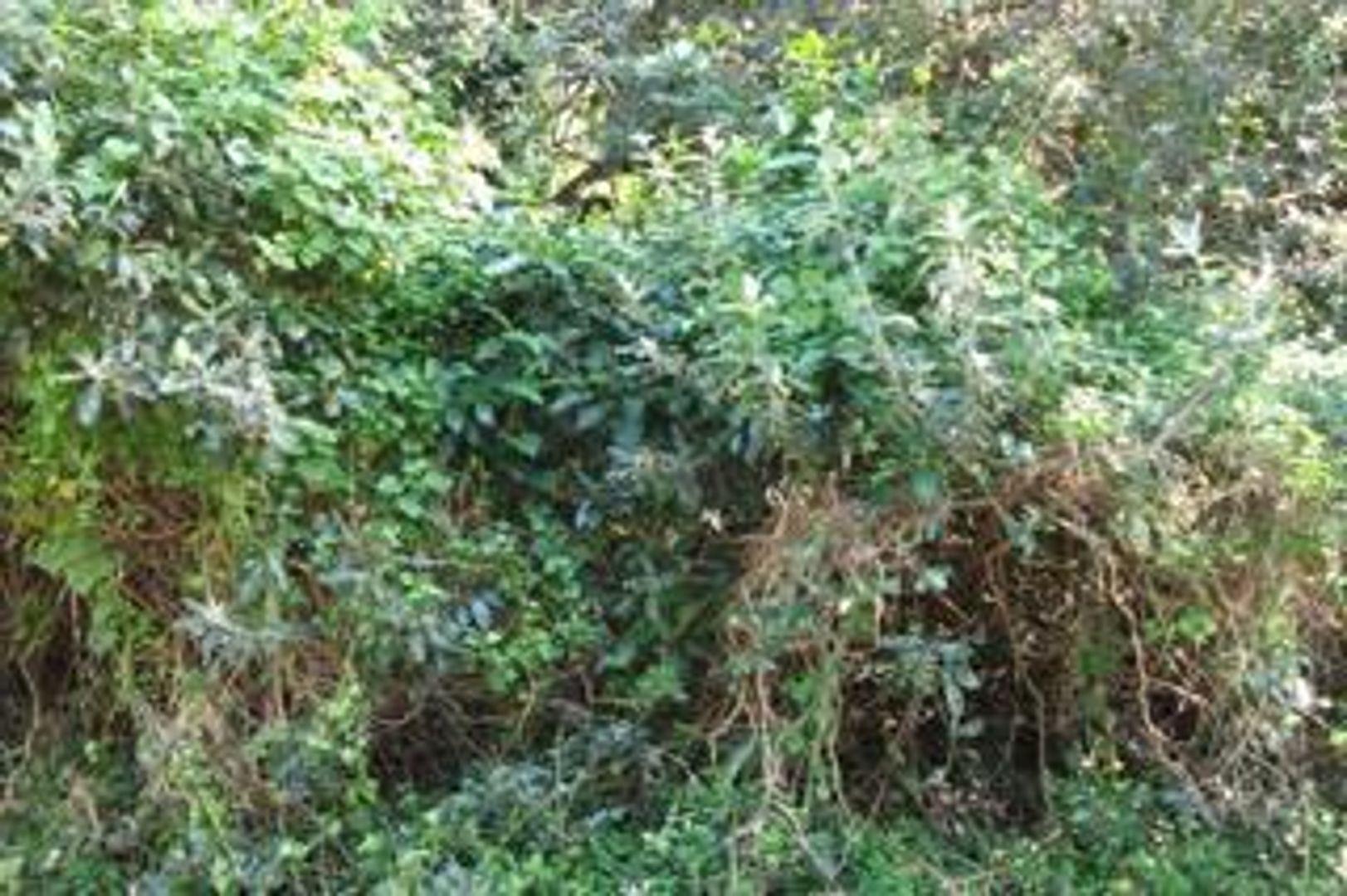 Prince's Grant Golf Estate Property Property and houses for sale in