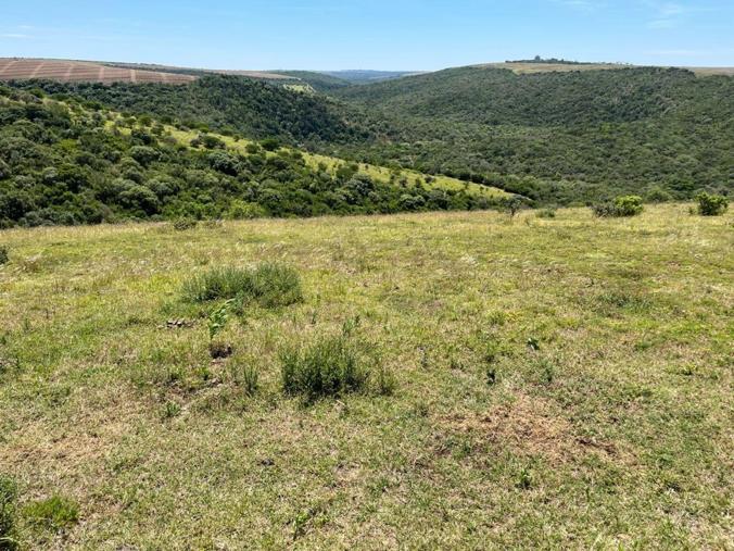 Farm for Sale in Bathurst