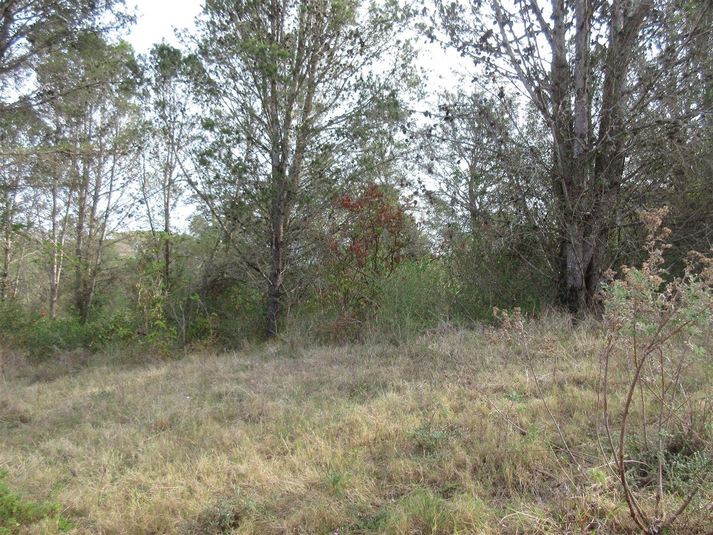 Vacant land / plot for sale in Bathurst 2328 Bathurst P24110409248