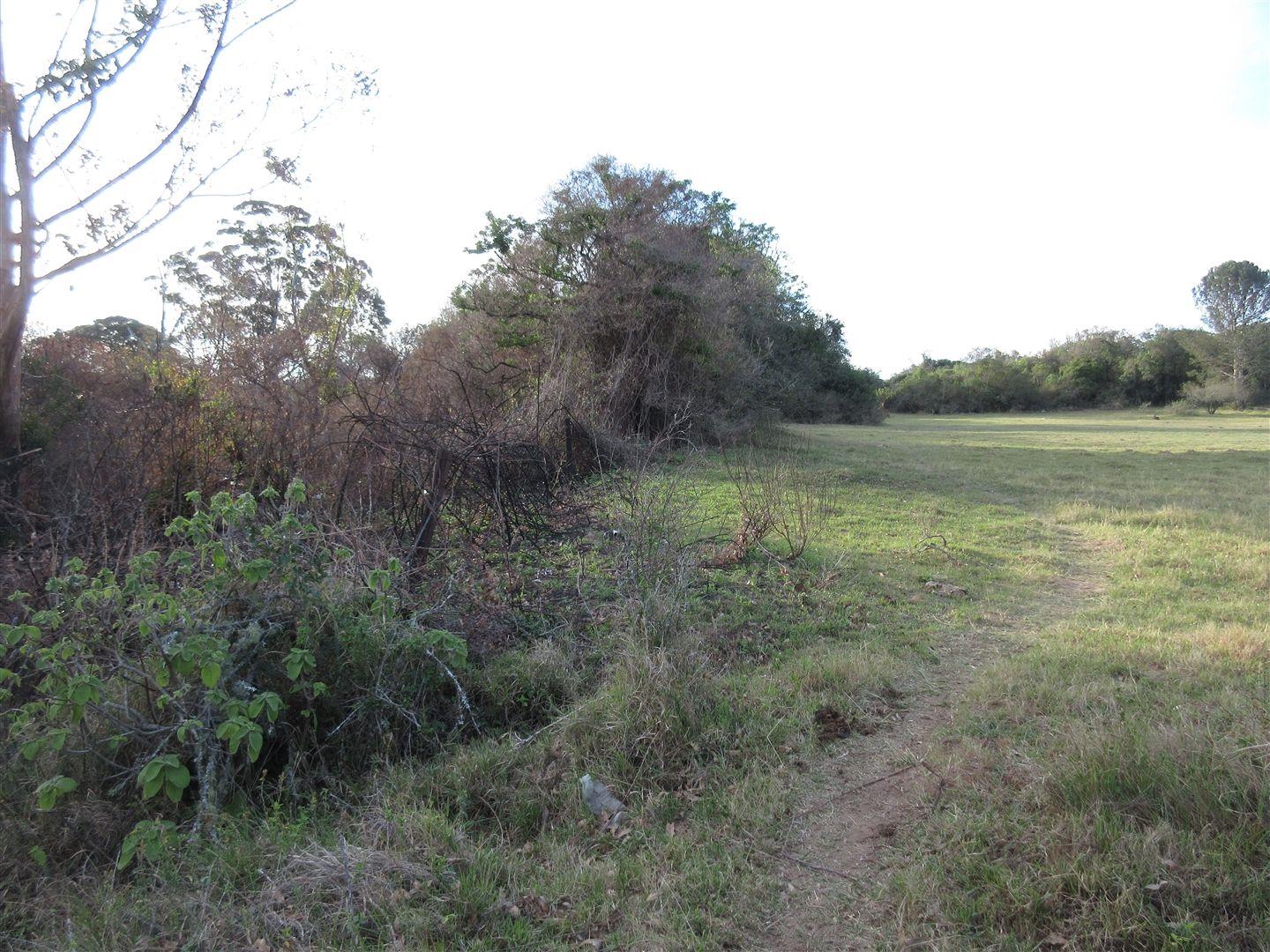 Vacant land / plot for sale in Bathurst 146 Nico Malan P24110351356