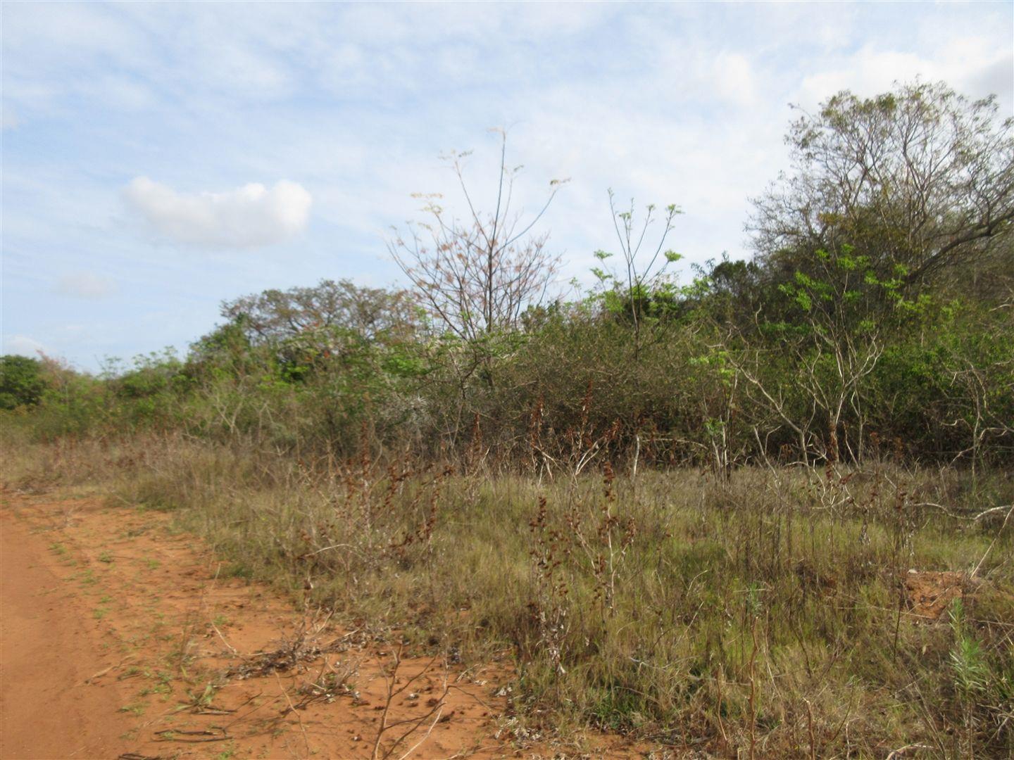 Vacant land / plot for sale in Bathurst 2331 Bathurst P24108910387