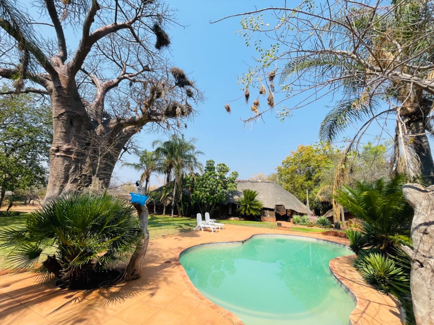 Farm for sale in Louis Trichardt Rural P24113231010