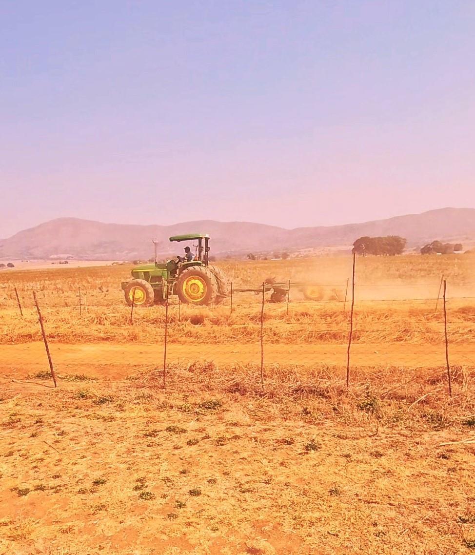 Farm for sale in Lydenburg Rural P24113231224