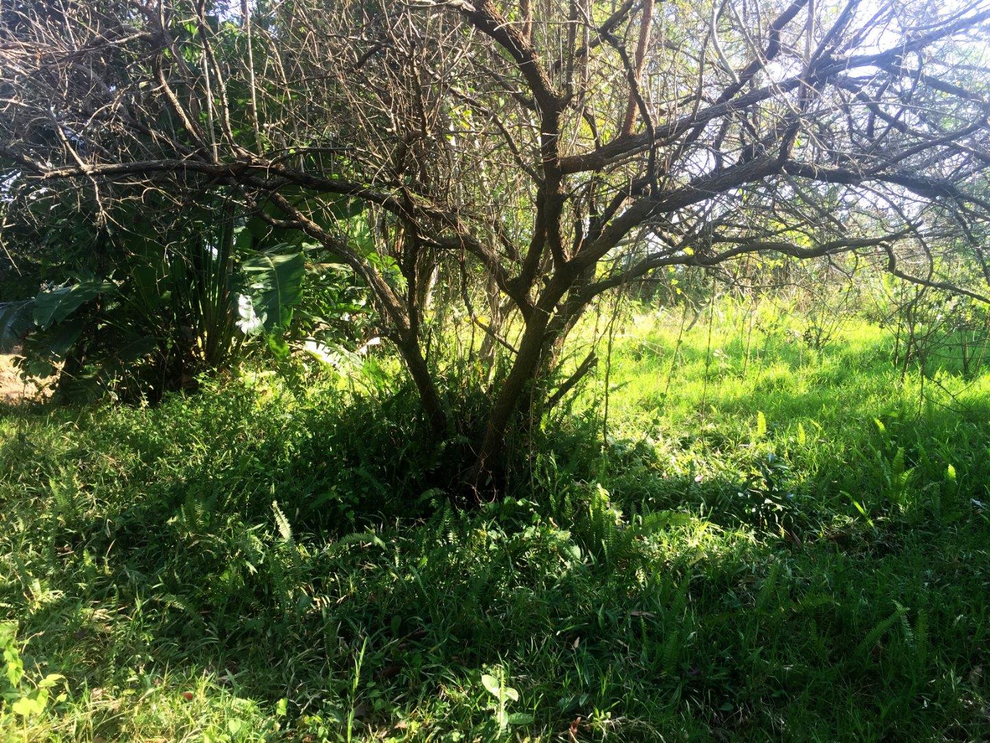 Vacant land / plot for sale in Ramsgate P24113248940