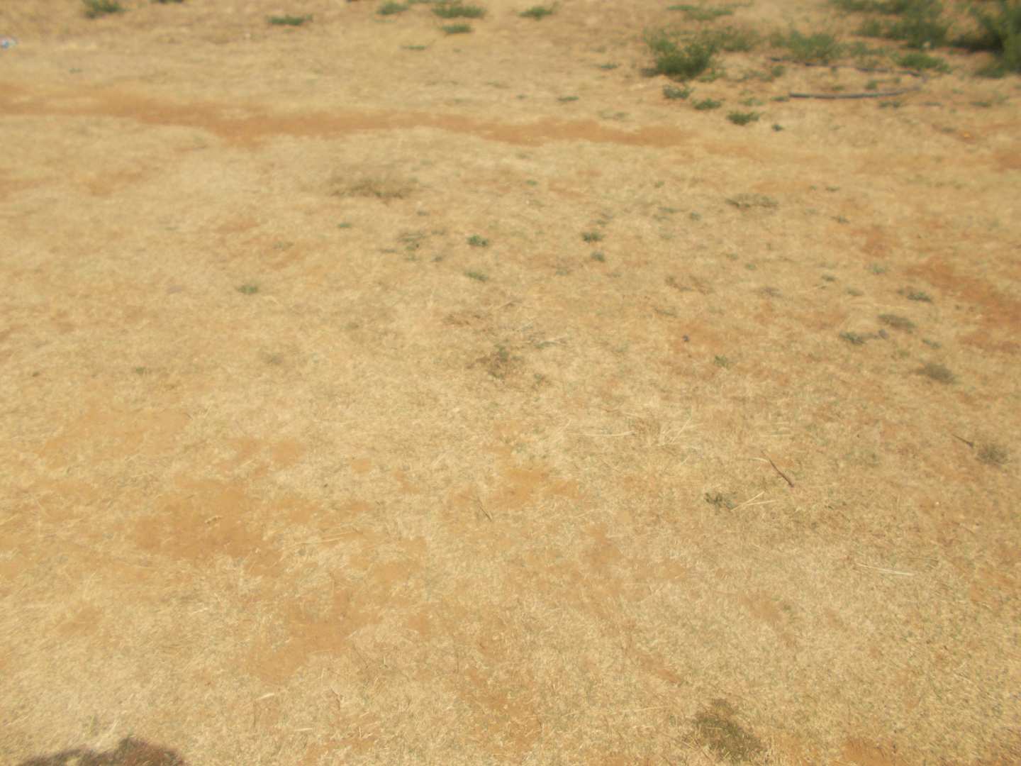 Vacant land / plots for sale in Kempton Park Kempton Park Property