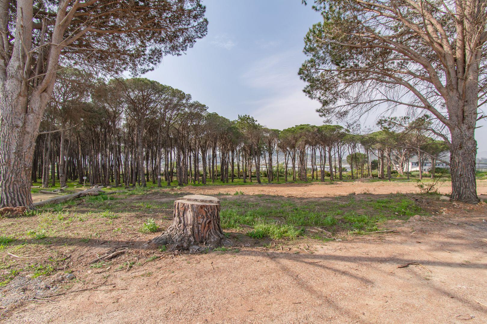 3 Bedroom House for sale in Somerset Lakes P24113260031