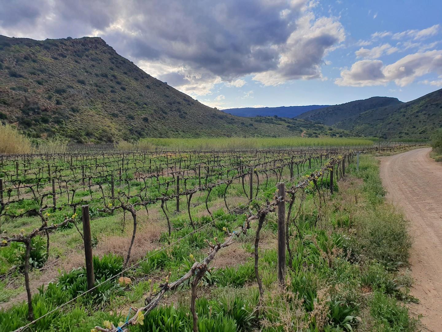 Montagu Rural Property Property and houses for sale in Montagu Rural