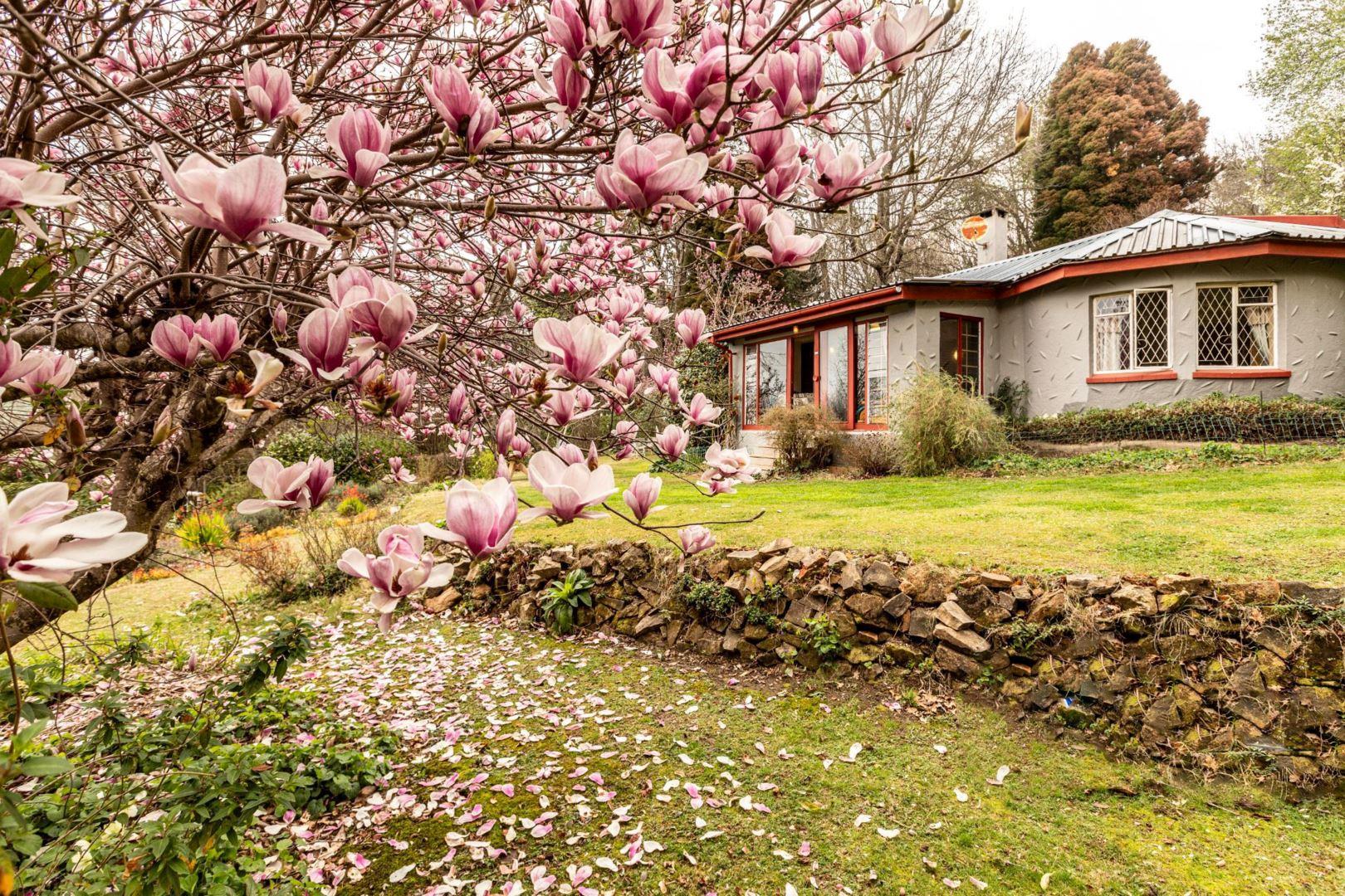 3 Bedroom House for sale in Hogsback P24113271925